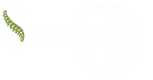 Spinalight INC